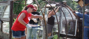 Community working on greehouse